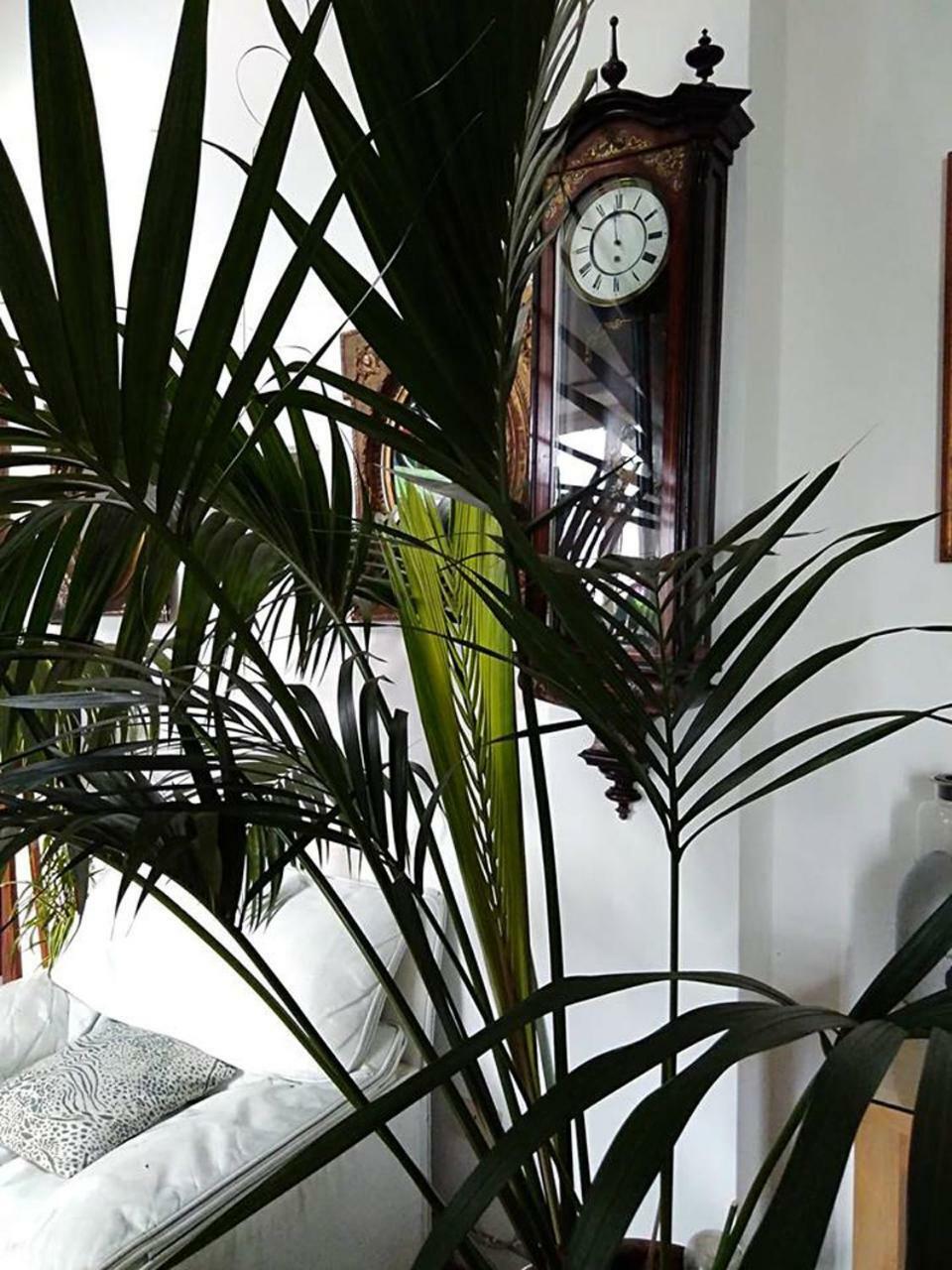 Il Camaleonte Villa Bracciano  Ngoại thất bức ảnh